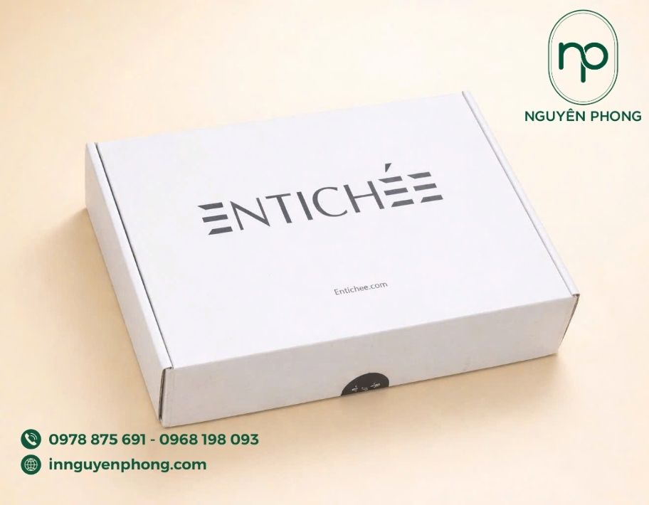 Mẫu in hộp đựng quần áo carton sóng đơn giản 